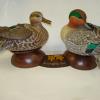 Greenwinged teal pair with feet