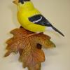 Goldfinch on Basswood Leaf